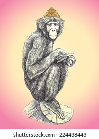 Hand drawn monkey in the crown sitting on the tree. Vector illustration.