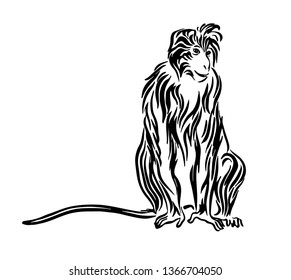 Hand drawn monkey outline sketch. Vector black ink drawing isolated on white background. Graphic animal illustration.