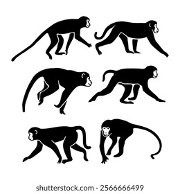 Hand drawn monkey silhouette collection