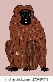 hand drawn monkey vector illustration