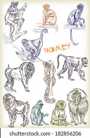 hand drawn monkey vector set