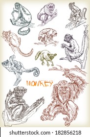 hand drawn monkey vector set