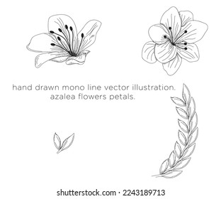 hand drawn mono line vector illustration.
azalea petals