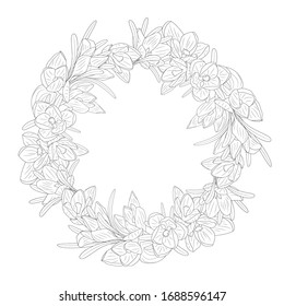 Flores crocadas monocromas dibujadas a mano redondeadas. Elemento de diseño floral. Aislado sobre fondo blanco. Ilustración vectorial.