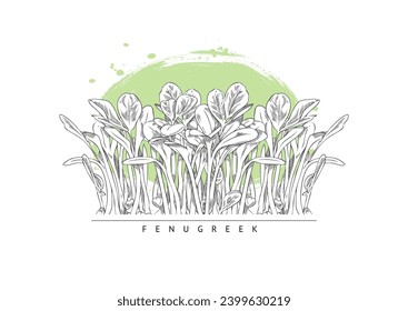 Hand drawn monochrome fenugreek micro-green sprouts sketch style, vector illustration isolated on white background. Decorative design element, abstract green shape, healthy food