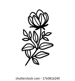 Hand drawn monochrome flower bud, plant, leaf, and foliage element for wedding invitation, logo, symbol, greeting cards, botanical icon, or banner. Summer, spring, and autumn botany element