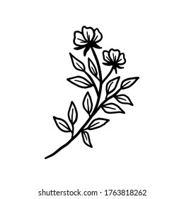 Hand drawn monochrome flower bud, plant, leaf, and foliage element for wedding invitation, logo, symbol, greeting cards, botanical icon, or banner. Summer, spring, and autumn botany element