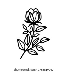 Hand drawn monochrome flower bud, plant, leaf, and foliage element for wedding invitation, logo, symbol, greeting cards, botanical icon, or banner. Summer, spring, and autumn botany element