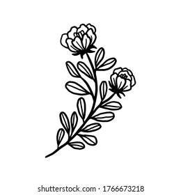 Hand drawn monochrome flower bud, plant, leaf, and foliage element for wedding invitation, logo, symbol, greeting cards, botanical icon, or banner. Summer, spring, and autumn botany element