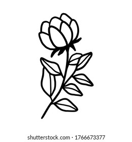 Hand drawn monochrome flower bud, plant, leaf, and foliage element for wedding invitation, logo, symbol, greeting cards, botanical icon, or banner. Summer, spring, and autumn botany element