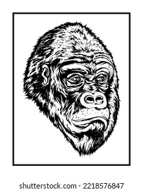 hand drawn monochrome gorilla head illustration