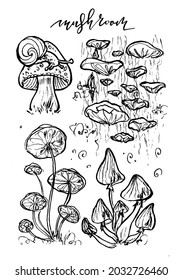 Hand drawn monochrome illustration set of mushrooms, ink art, line art, mushroom with snail, mushrooms on tree, one line style, isolated, fairytale, brushpen calligraphy, for coloring book