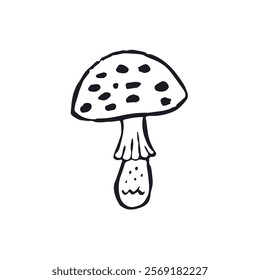 Hand drawn monochrome inky sketch style amanita mushroom. Poisonous fungy black and white doodles