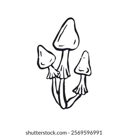 Hand drawn monochrome inky sketch style amanita mushroom. Poisonous fungy black and white doodles