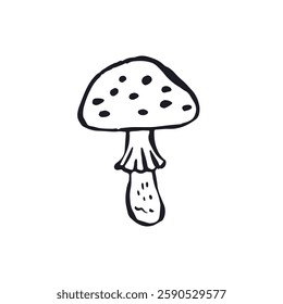 Hand drawn monochrome inky sketch style amanita mushroom. Poisonous fungy black and white doodles