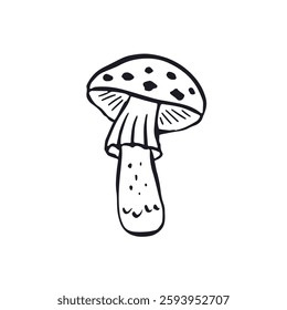 Hand drawn monochrome inky sketch style amanita mushroom. Poisonous fungy black and white doodles