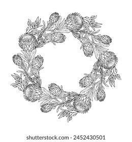 Hand drawn monochrome line art tropical protea flower round frame. Floral wreath greeting card template