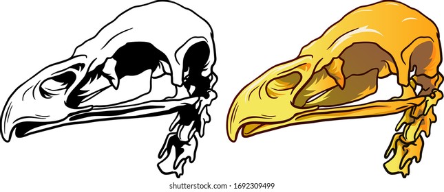 Hand Drawn Monochrome line and colour Illustration of bird skull isolated on white background, paleontology symbol. Sticker for Halloween.