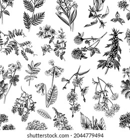 Hand drawn monochrome pattern medicinal herbs. Vector illustration made with clipping mask. Perfect for apparel,fabric, textile,wrapping paper. Highly detailed illustration in retro style