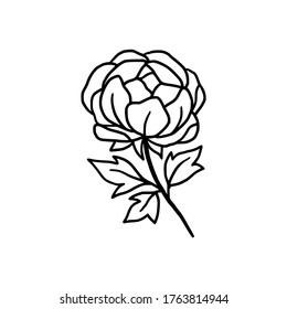 Hand drawn monochrome peony flower element for wedding invitation, logo, symbol, greeting cards, botanical icon, or banner. Summer, spring, and autumn botany element