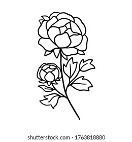 Hand drawn monochrome peony flower element for wedding invitation, logo, symbol, greeting cards, botanical icon, or banner. Summer, spring, and autumn botany element