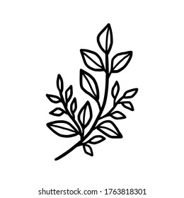 Hand drawn monochrome plant, leaf, and foliage element for wedding invitation, logo, symbol, greeting cards, botanical icon, or banner. Summer, spring, and autumn botany element