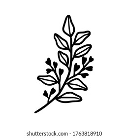 Hand drawn monochrome plant, leaf, and foliage element for wedding invitation, logo, symbol, greeting cards, botanical icon, or banner. Summer, spring, and autumn botany element