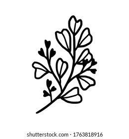 Hand drawn monochrome plant, leaf, and foliage element for wedding invitation, logo, symbol, greeting cards, botanical icon, or banner. Summer, spring, and autumn botany element