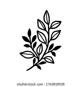 Hand drawn monochrome plant, leaf, and foliage element for wedding invitation, logo, symbol, greeting cards, botanical icon, or banner. Summer, spring, and autumn botany element