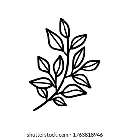 Hand drawn monochrome plant, leaf, and foliage element for wedding invitation, logo, symbol, greeting cards, botanical icon, or banner. Summer, spring, and autumn botany element