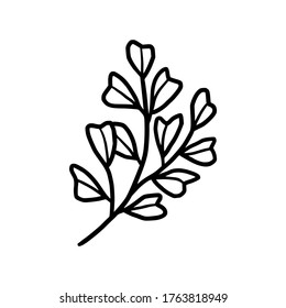 Hand drawn monochrome plant, leaf, and foliage element for wedding invitation, logo, symbol, greeting cards, botanical icon, or banner. Summer, spring, and autumn botany element