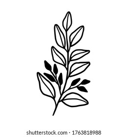 Hand drawn monochrome plant, leaf, and foliage element for wedding invitation, logo, symbol, greeting cards, botanical icon, or banner. Summer, spring, and autumn botany element