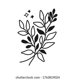 Hand drawn monochrome plant, leaf, and foliage element for wedding invitation, logo, symbol, greeting cards, botanical icon, or banner. Summer, spring, and autumn botany element