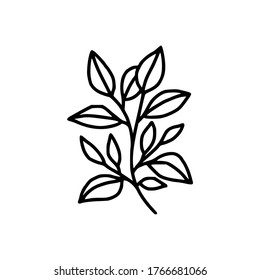 Hand drawn monochrome plant, leaf logo element. Symbol, greeting cards, botanical icon, or banner. Summer, spring, and autumn botany element