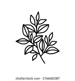 Hand drawn monochrome plant, leaf logo element. Symbol, greeting cards, botanical icon, or banner. Summer, spring, and autumn botany element