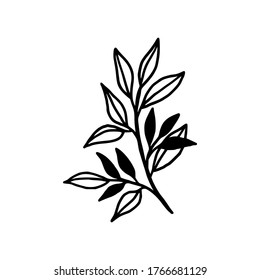 Hand drawn monochrome plant, leaf logo element. Symbol, greeting cards, botanical icon, or banner. Summer, spring, and autumn botany element