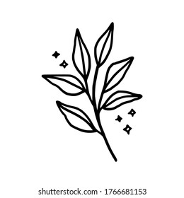 Hand drawn monochrome plant, leaf logo element. Symbol, greeting cards, botanical icon, or banner. Summer, spring, and autumn botany element