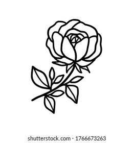 Hand drawn monochrome rose, flower, leaf, and foliage element for wedding invitation, logo, symbol, greeting cards,  botanical icon, or banner. Summer, spring, and autumn botany element