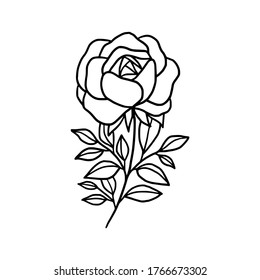 Hand drawn monochrome rose, flower, leaf, and foliage element for wedding invitation, logo, symbol, greeting cards,  botanical icon, or banner. Summer, spring, and autumn botany element