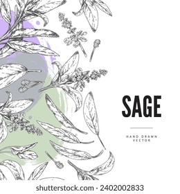 Hand drawn monochrome seamless border with sage leaves and flowers, abstract green and purple shapes sketch style, vector illustration. Decorative design element, organic plant