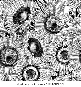 Hand drawn monochrome seamless pattern with sunflowers.