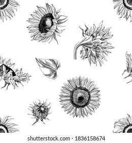 Hand drawn monochrome seamless pattern with sunflowers.