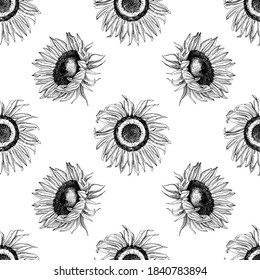 Hand drawn monochrome seamless pattern with sunflowers.