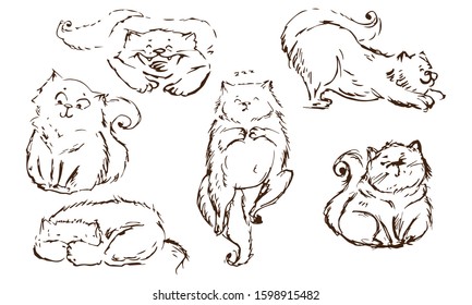 hand drawn monochrome set of different cat positions. funny cartoonish style.