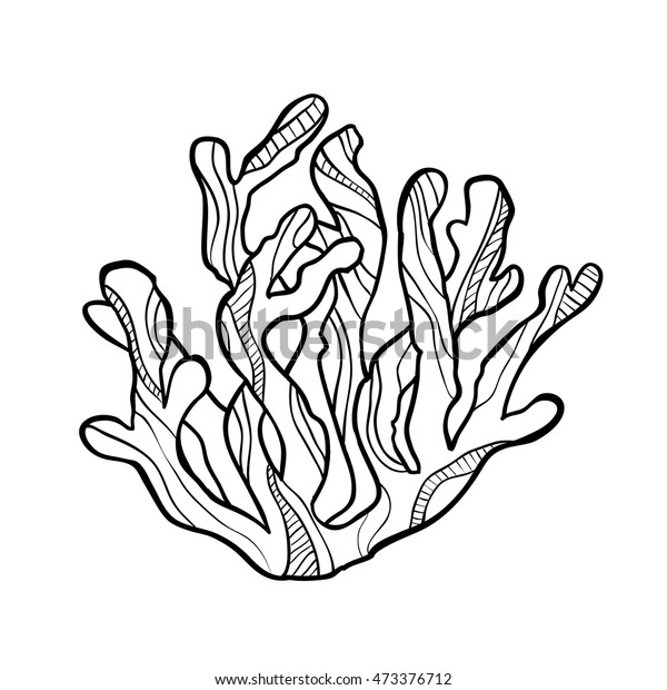 Hand Drawn Monochrome Sketch Coral Isolated Stock Vector (Royalty Free ...