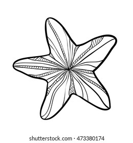Hand drawn monochrome sketch of starfish isolated on white background. Art vector stylized illustration. 