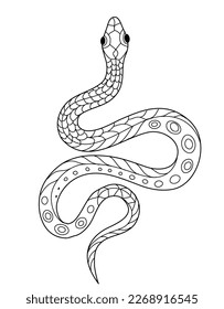 Hand drawn monochrome Snake. Coloring page for kids and adults. Ancient serpent, antique symbol. Drawings for poster. Linear vector drawing.