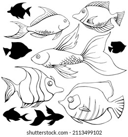 Hand drawn monochrome vector coral fishes set isolated on white background. Assorted  tropical fishes collection. Black and white sea fauna template.