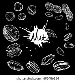 Hand drawn monochrome vector illustration of walnuts, hazelnuts, pistachios, peanuts, pecan. sketch. Vector eps 8.