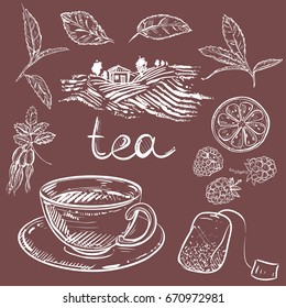 Hand drawn monochrome vector set of tea cup, leaf, dogrose, raspberry, farm. sketch. Vector eps 8.